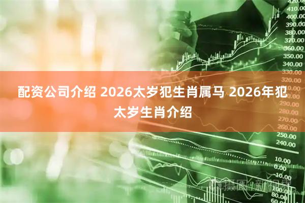 配资公司介绍 2026太岁犯生肖属马 2026年犯太岁生肖介绍